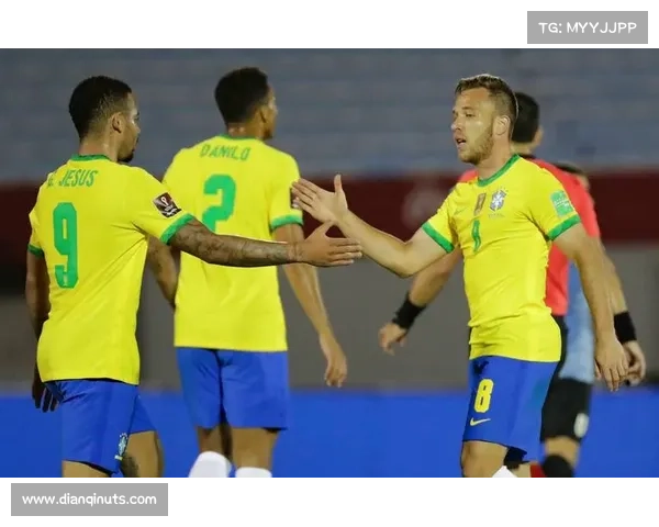 巴西泳坛名将小西埃洛因涉暴力事件遭禁赛 南美泳联展开纪律调查