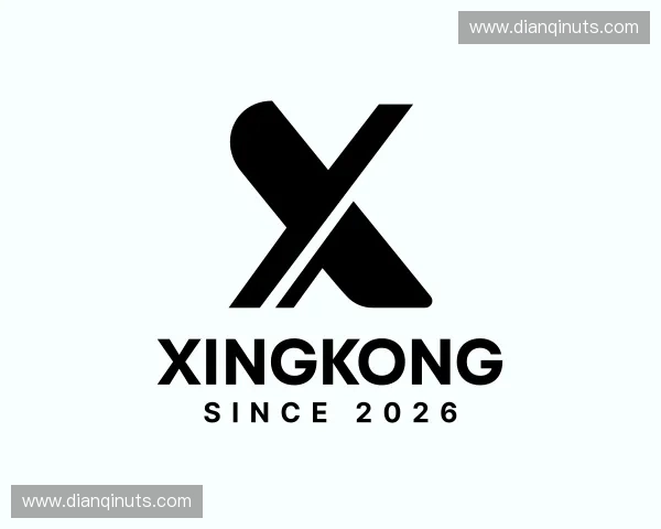 解读xingkong中国官网